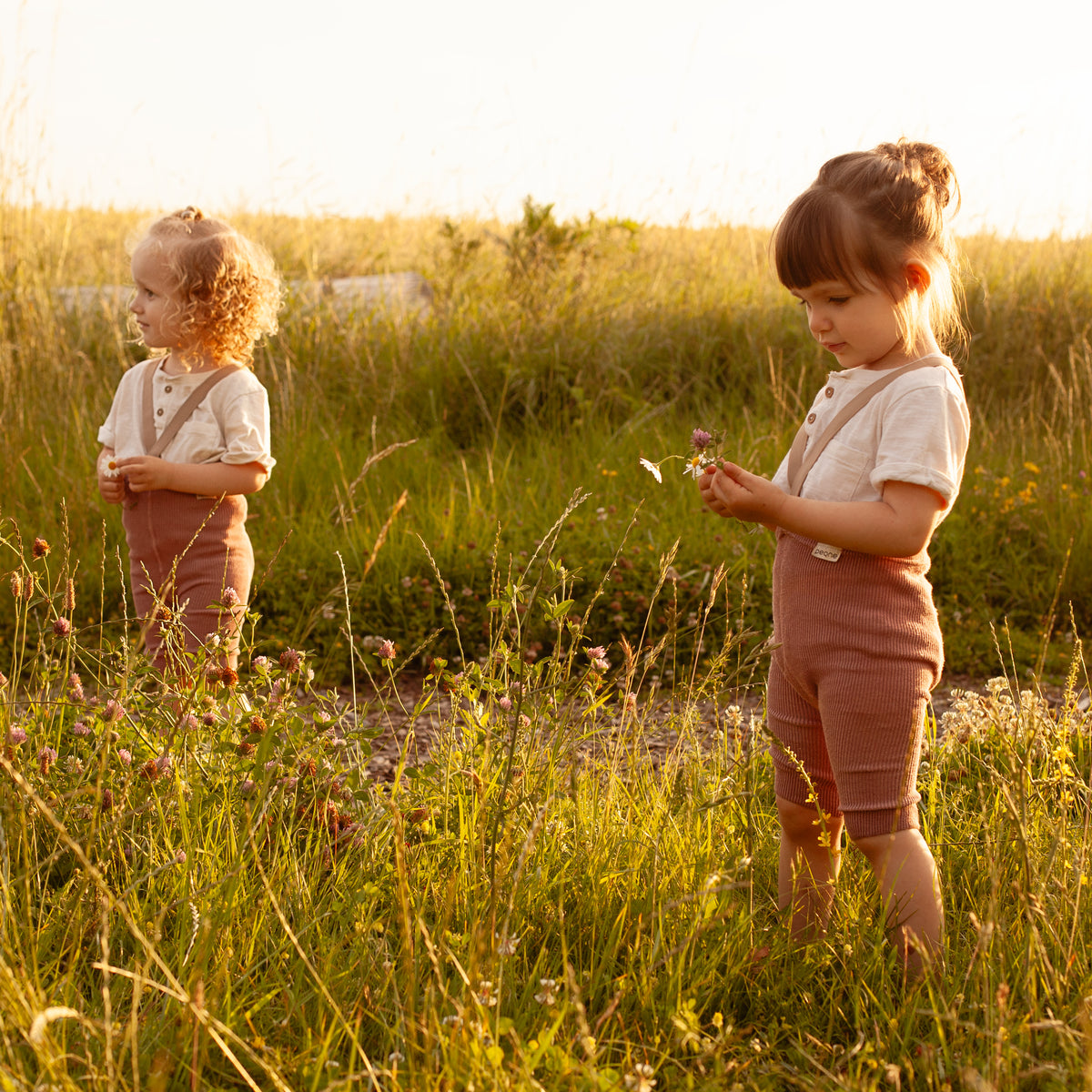 Kurze Hose mit Trägern -Staubrose